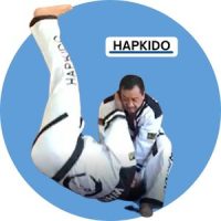 Hapkido